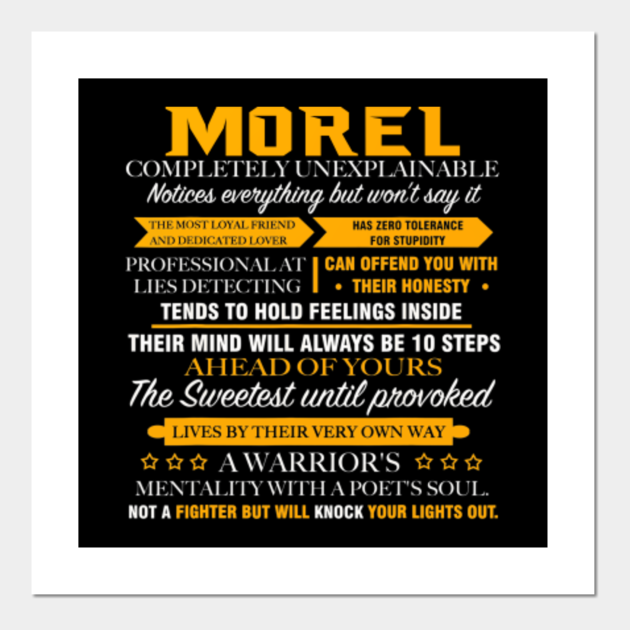 MOREL Completely Unexplainable Shirt Name  Morel  Posters and Art